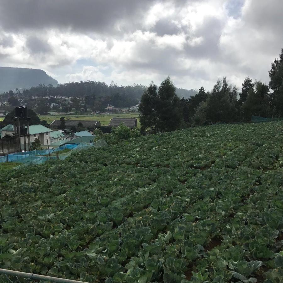 Dahlia Mount View Hotel Nuwara Eliya Exteriér fotografie